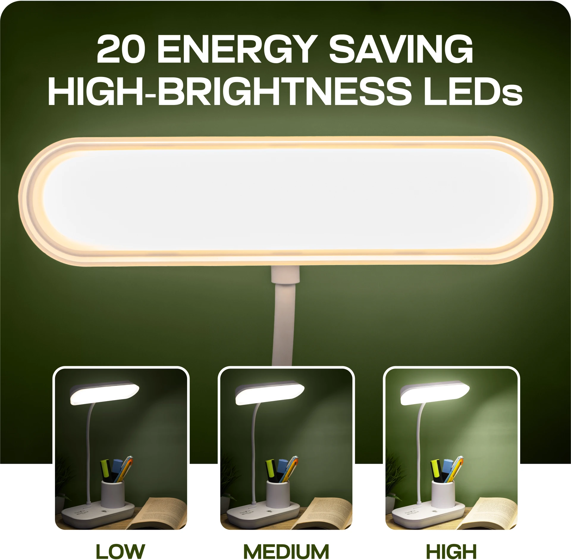 LED Desk Lamp with Adjustable Brightness